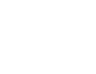 logo white